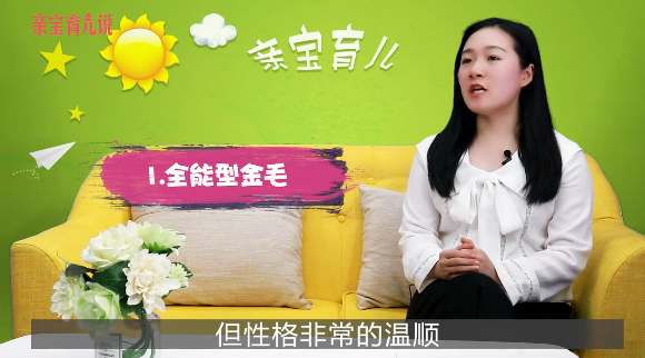 家里有小孩适合养什么狗