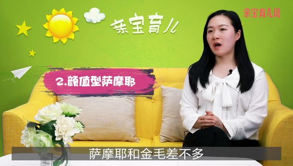 家里有小孩适合养什么狗