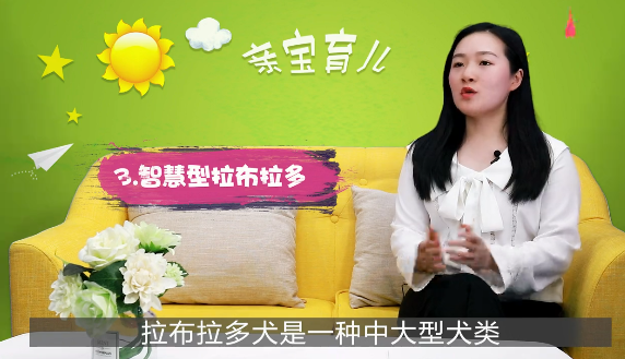 家里有小孩适合养什么狗