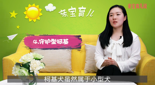 家里有小孩适合养什么狗