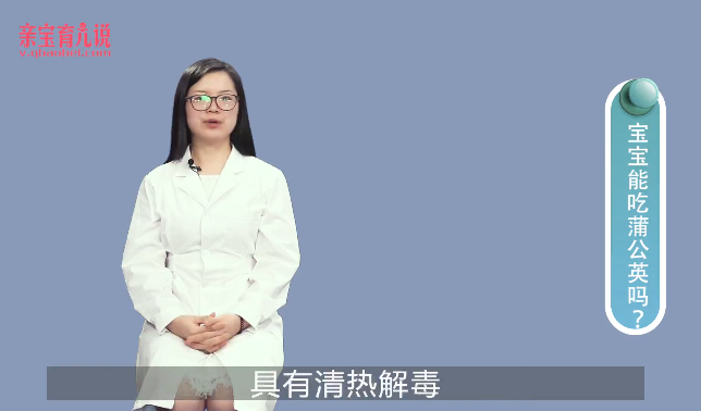 宝宝能吃蒲公英吗