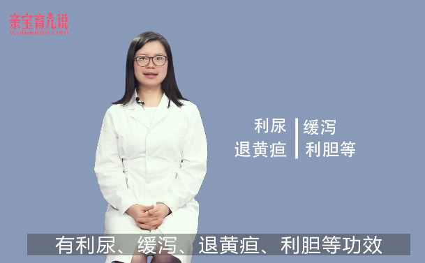 宝宝能吃蒲公英吗