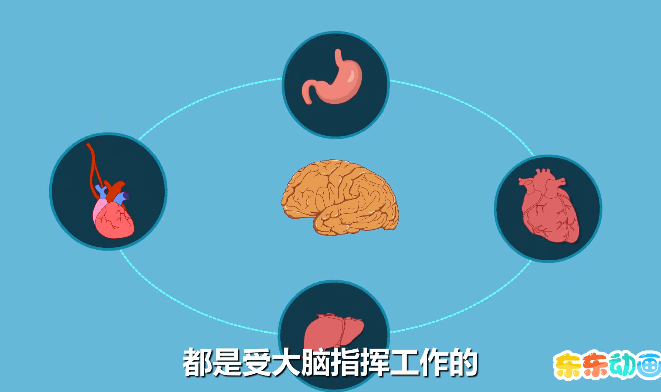 为什么不能一边吃饭一边看书写字