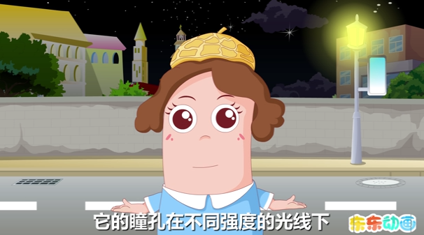 为什么猫眼会在夜晚发光