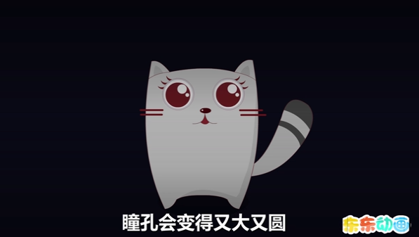为什么猫眼会在夜晚发光